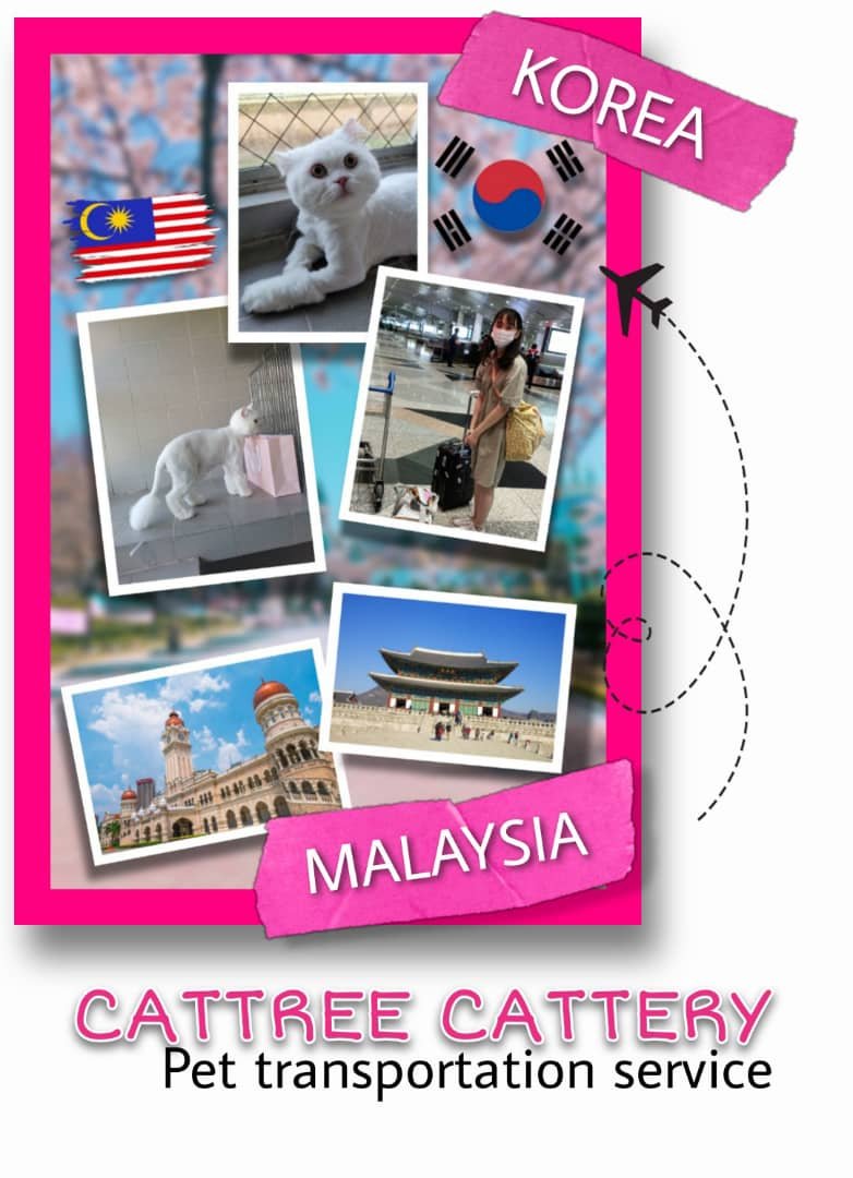 WhaApp Image 2024-03-19 at 19.24.27_9117fedf