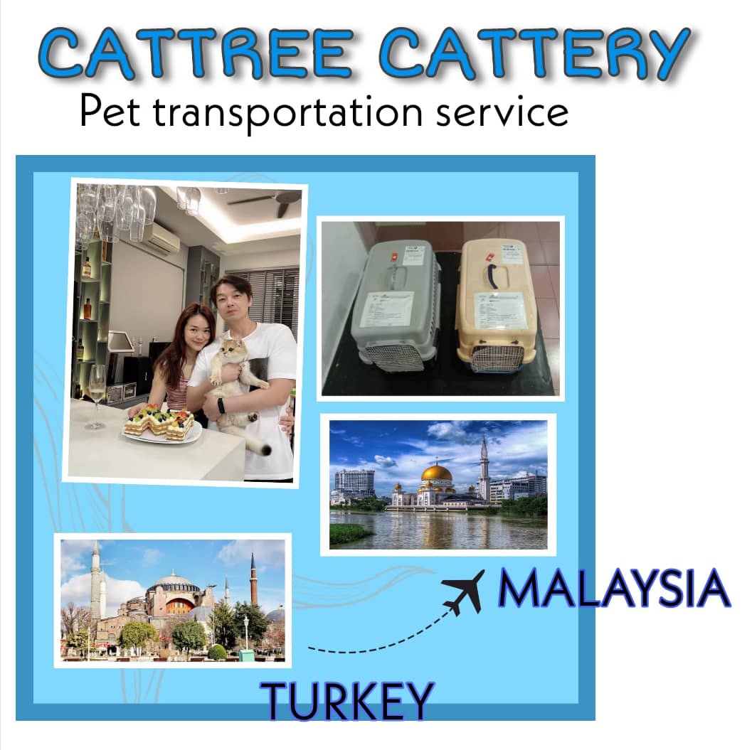 WhatsApp Image 2024-03-19 at 19.24.28_0c713fcc