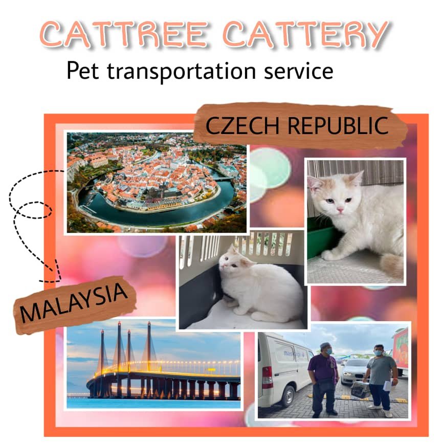 WhatsApp Image 2024-03-19 at 19.24.28_565b4f3b