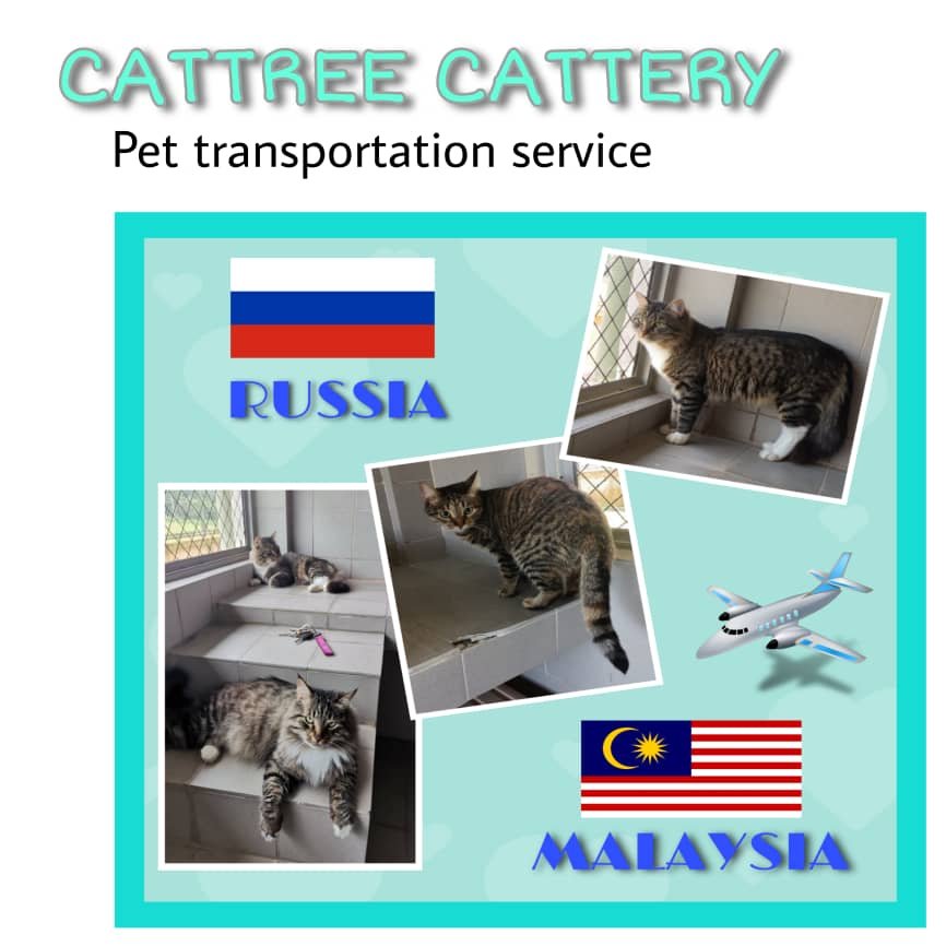 WhatsApp Image 2024-03-19 at 19.24.29_f598ba5b