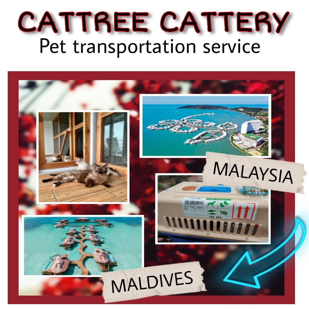 WhatsApp Image 2024-03-19 at 19.24.30_590bcdc0