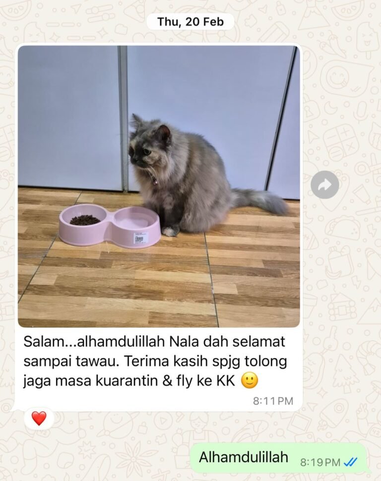 pet-travel